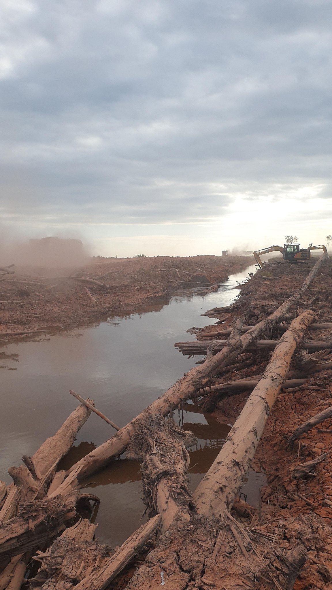 Kerusakan Alam Indonesia: Saat Pemerintah Harus Lebih Peduli pada Lingkungan